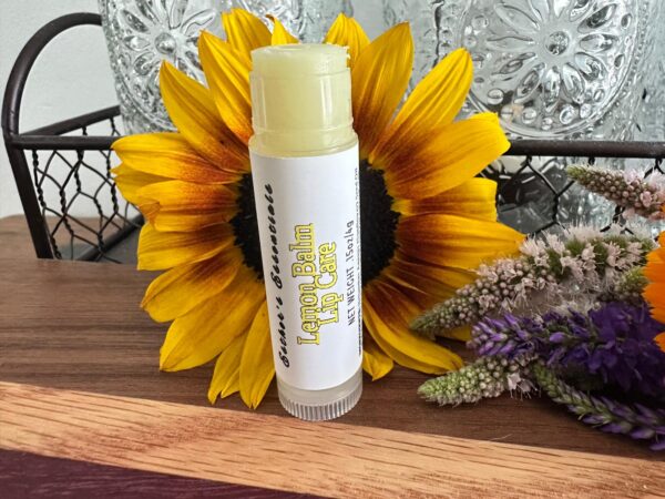 The Lemon Balm Lip Care Stick